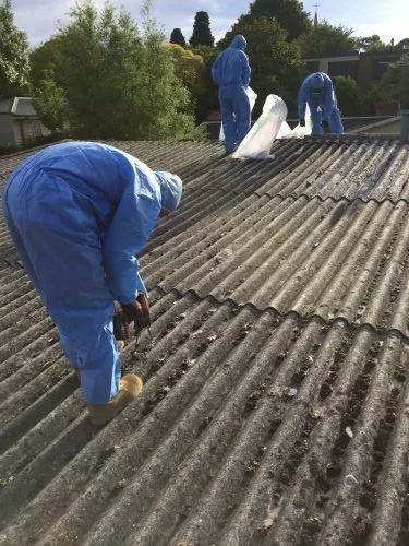 Three workers in blue disposable overalls on a mossy corrugated asbestos-cement roof, bagging material in plastic